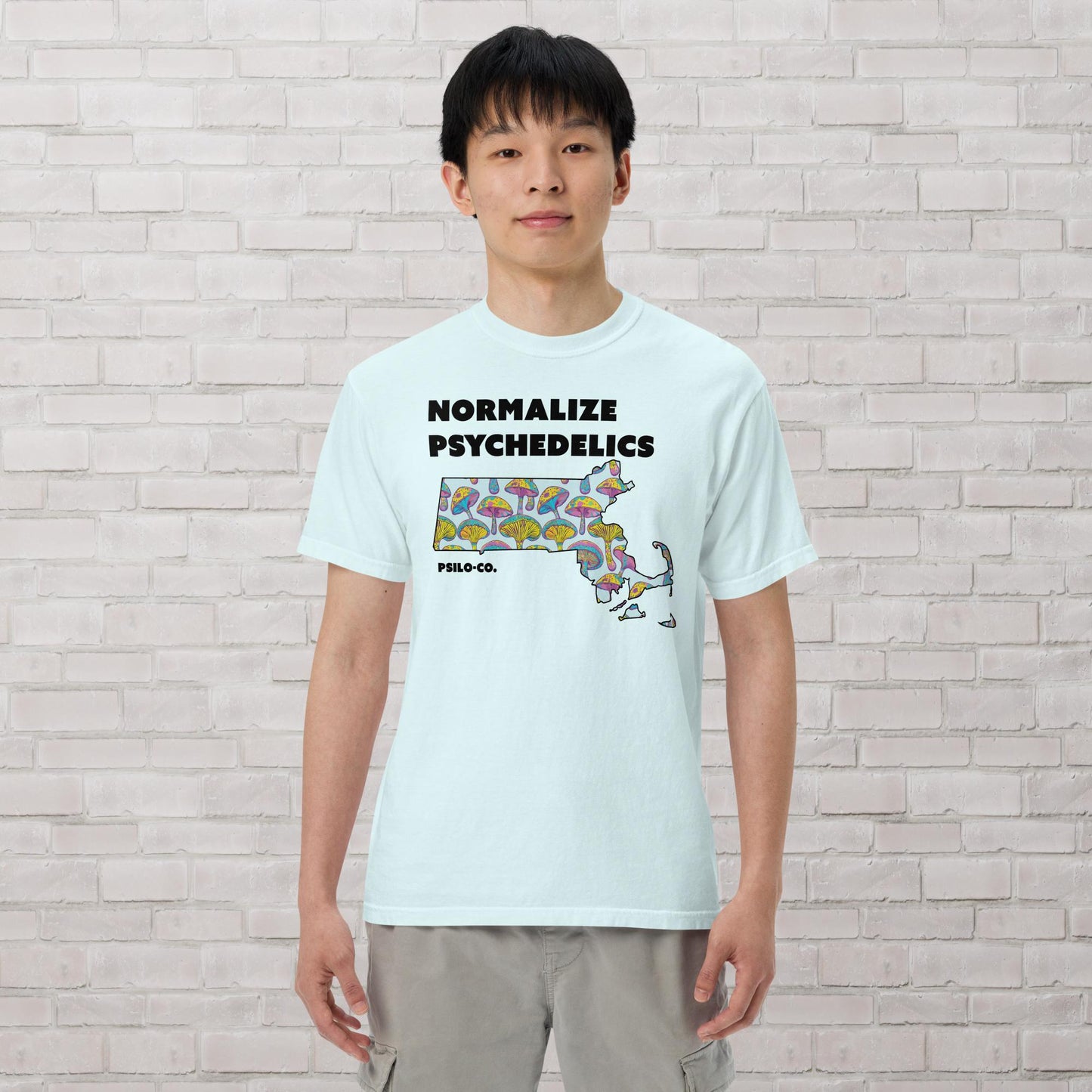 Normalize Psychedelics (MA)