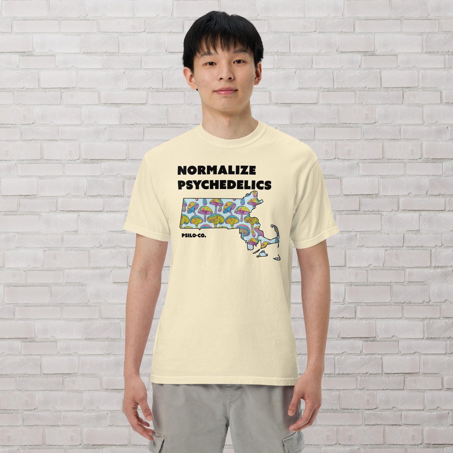 Normalize Psychedelics (MA)