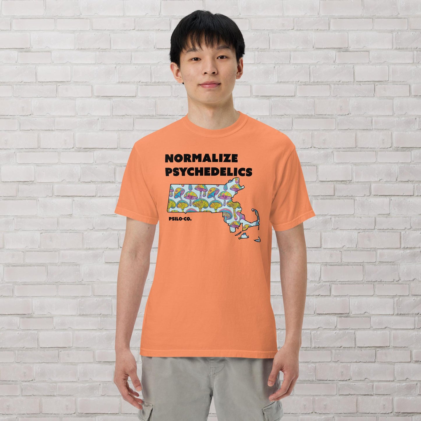 Normalize Psychedelics (MA)