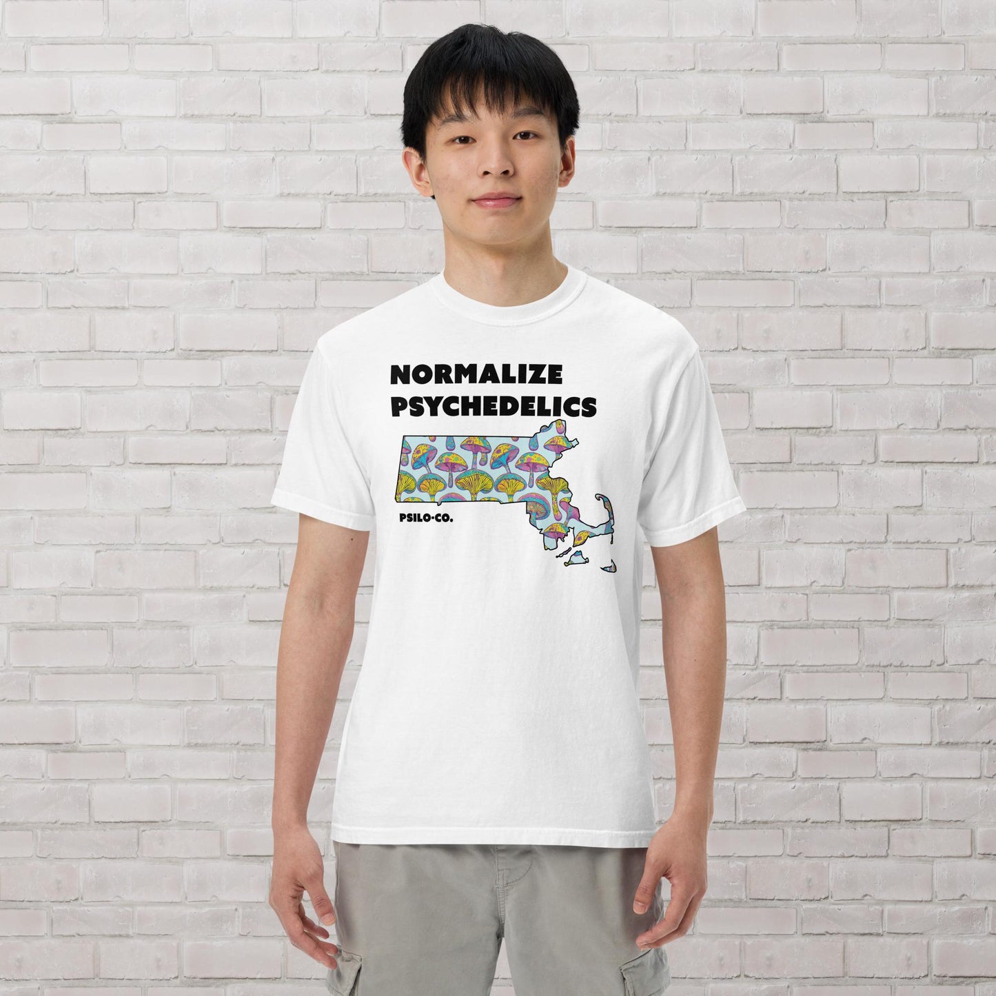 Normalize Psychedelics (MA)