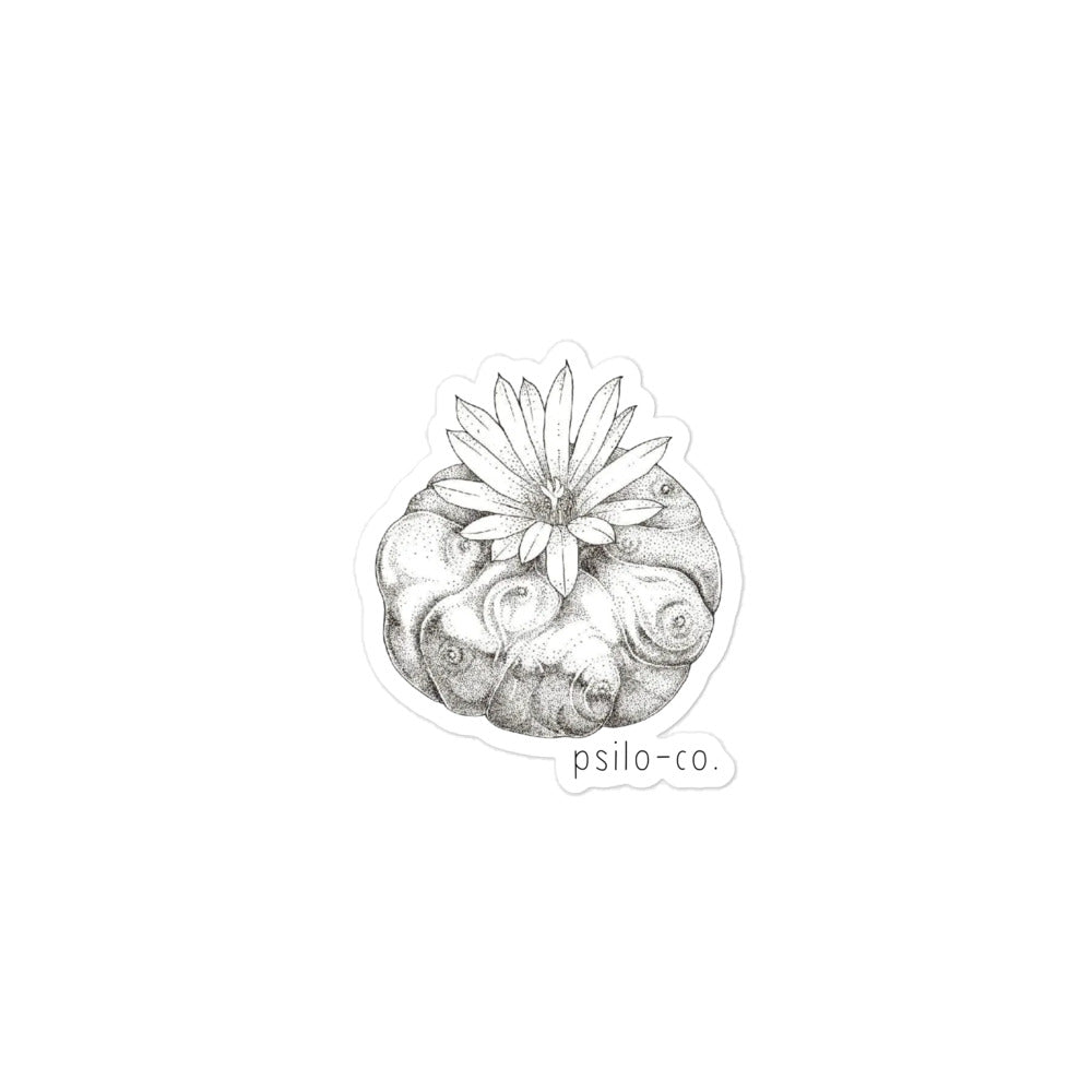 Desert Vibes Sticker
