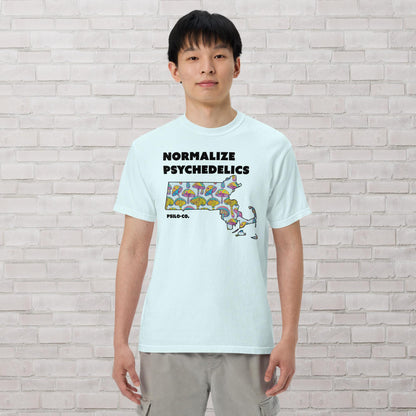 Normalize Psychedelics (MA)