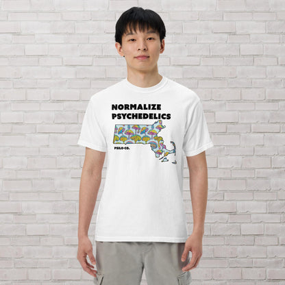 Normalize Psychedelics (MA)