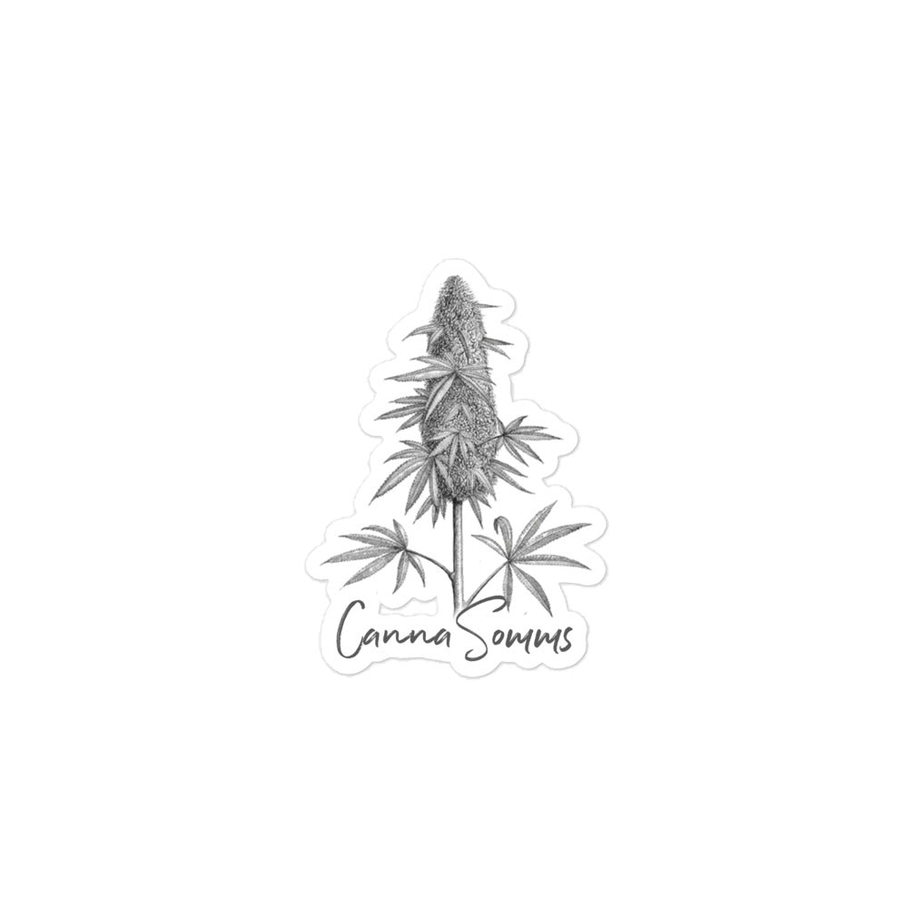CannaSomms x Psilo-Co. Harvest Season