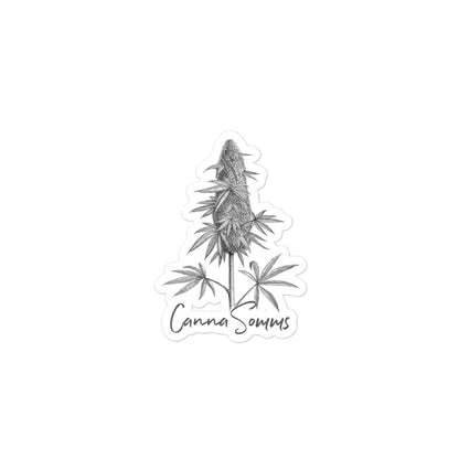 CannaSomms x Psilo-Co. Harvest Season