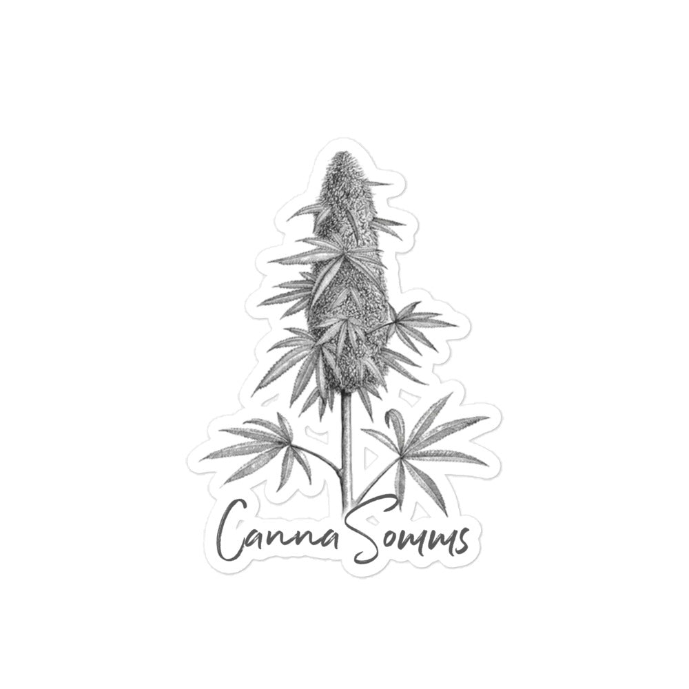 CannaSomms x Psilo-Co. Harvest Season